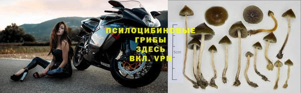 тгк Алексин