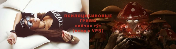 тгк Алексин