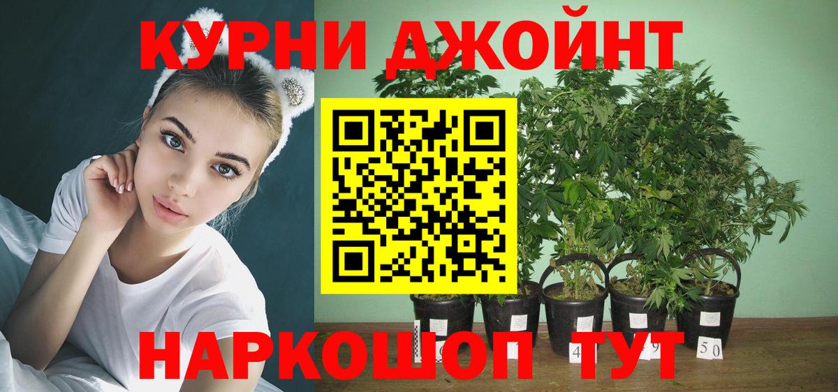 Шишки марихуана гибрид Сосновоборск